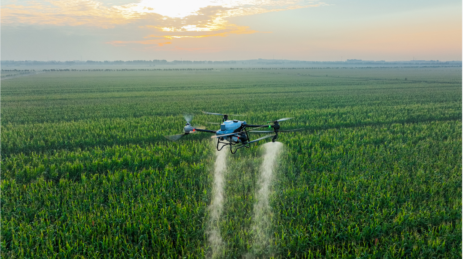 A sophisticated agricultural drone spraying a field